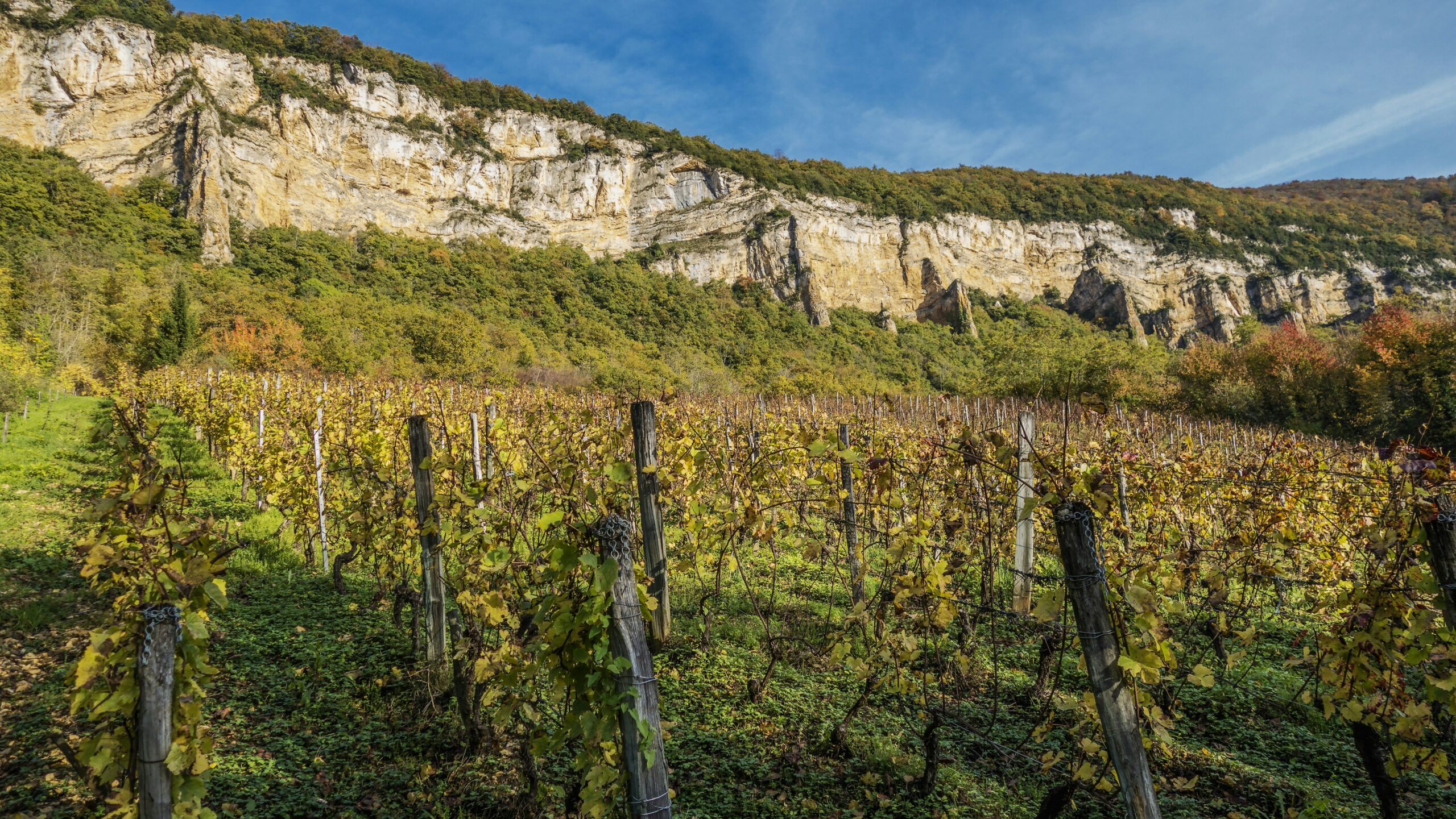 L'Ain, département 01